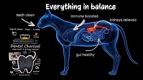 QCHEFS Dental Charcoal for Cats – Two Month Supply* - Food Topper - After Meal Licking Treat, Oral Health Snack with Amino Acids.