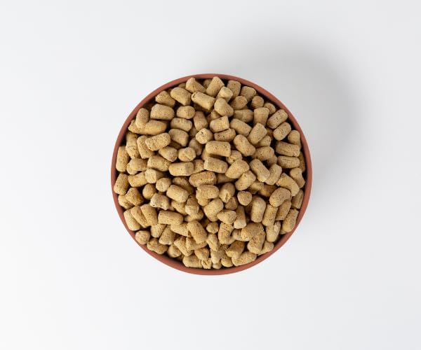 360 Pet Nutrition Freeze-Dried Raw Dog Food- Multi-Protein, Chicken, Beef Formula's Pack of 3 lbs Total (1 lb Each)