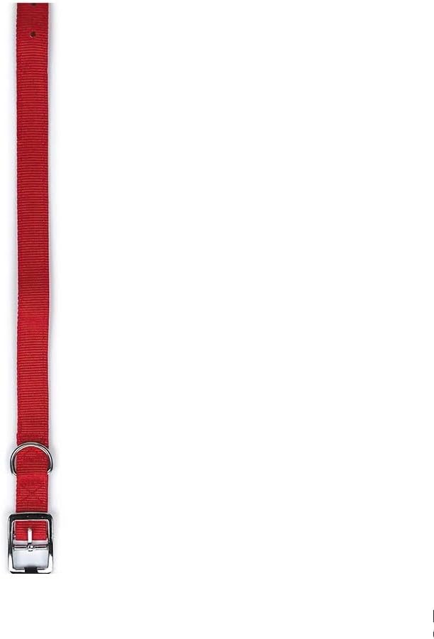 Bright Red Dog Collars Double Thick Nylon Strong Metal Buckle Heavy Duty (13 to 16 Inch)