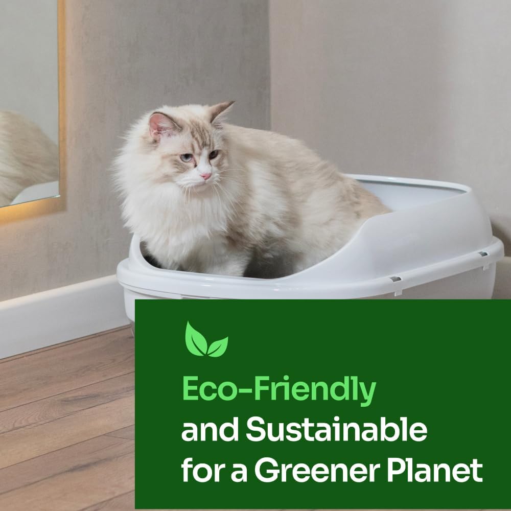 Tofu Cat Litter – Clumping, Flushable, Ultra Absorbent & Fast Drying | 100% Natural, Dust-Free, Low Tracking | Water-Soluble & Eco-Friendly (5.5 lbs x 2 Bag)