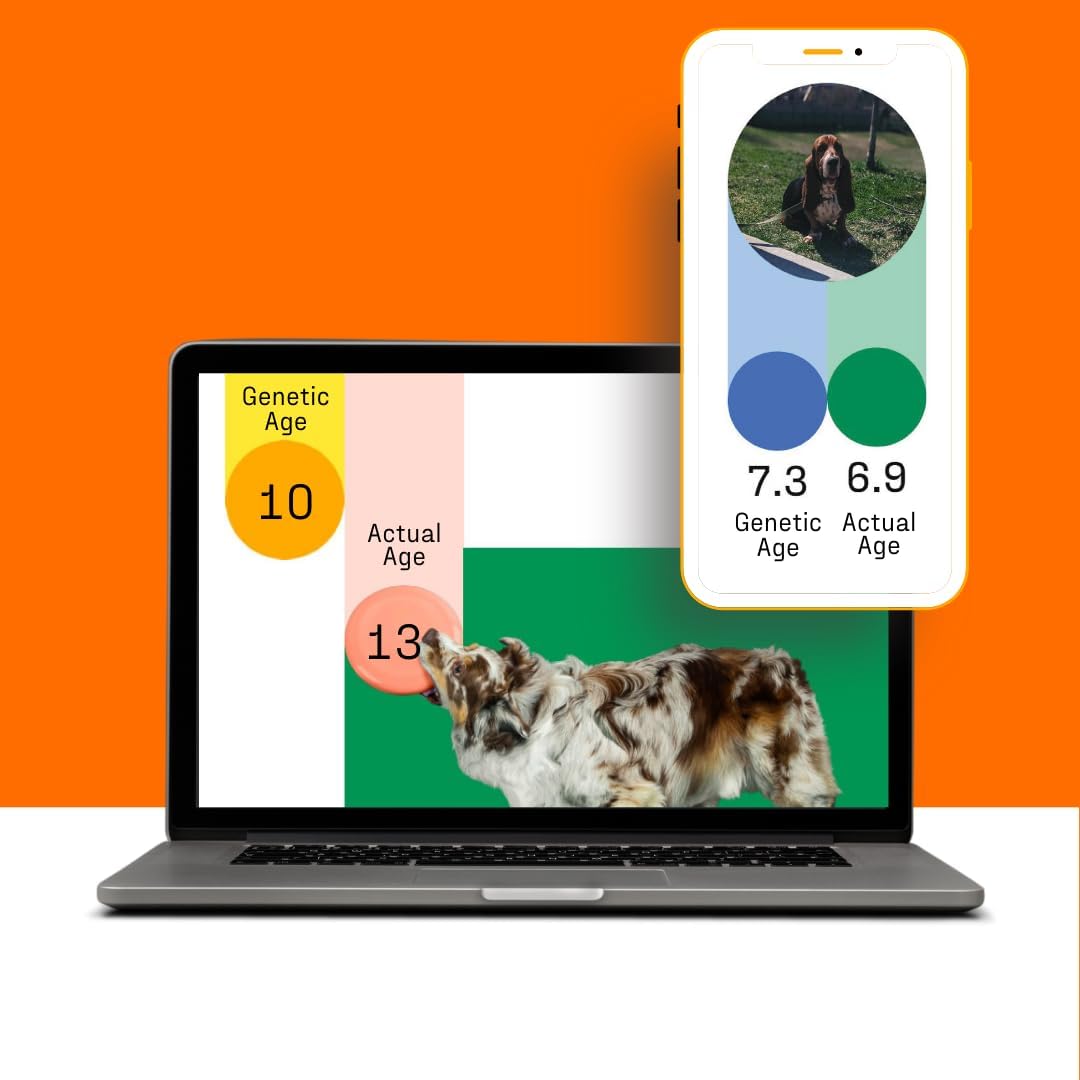 DNA Genetic Age and Breed Test β Trusted & Affordable Breed Identification | 350+ Breeds Identified with 99%+ Accuracy | Plus Genetic Age Test, Wolf DNA