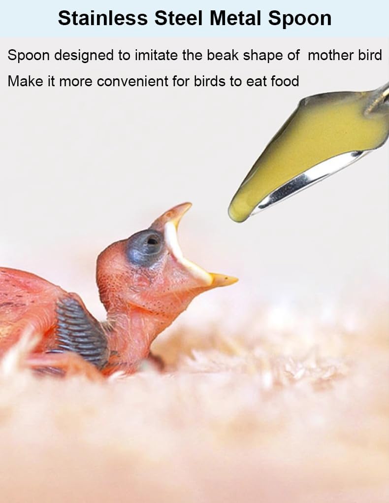 5 PCS Baby Bird Feeding Syringe for Baby Birds Parrot Hand Feeding Syringe Pet, Parrot Feeder Food Syringe, Feeding Tube Bird Feeding & Watering Supplies