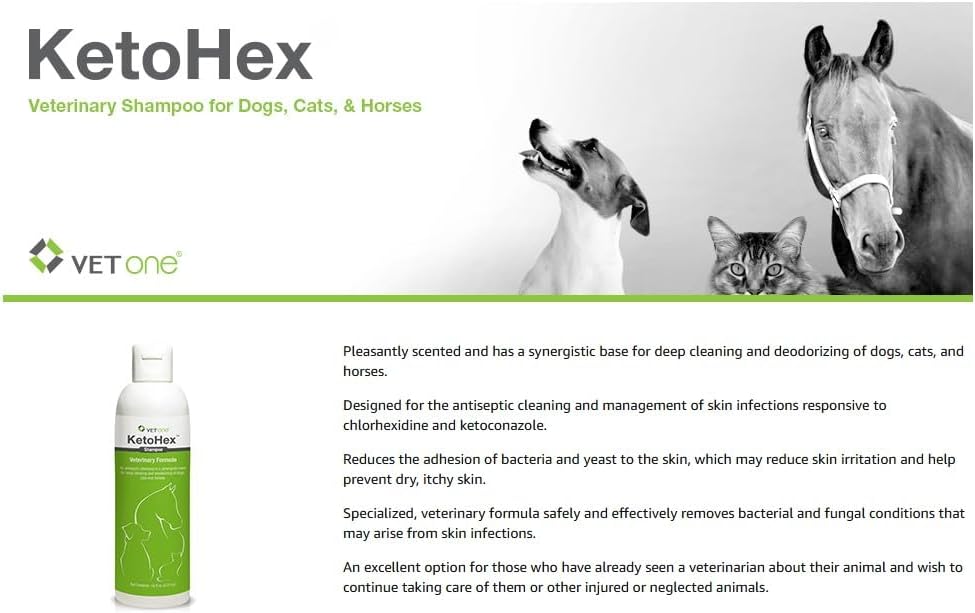 KetoHex Cat and Dog Shampoo - 16 oz Anti Bacterial Cat & Dog Flea And Tick Treatment, For Sensitive Skin Infections & Lesions, Protects & Moisturizes, Antifungal Treatment For Dogs & Cats - VetOne
