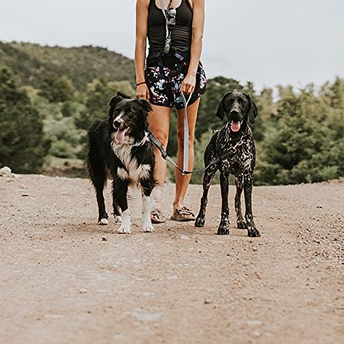 Mighty Paw Double Dog Leash - Double Leash for Two Dogs No Tangle Design. Split Lead for 2 Pets. Adjustable to Fit All Sized Breeds. Reflective Dual Pet Lead for People with 2 Pups