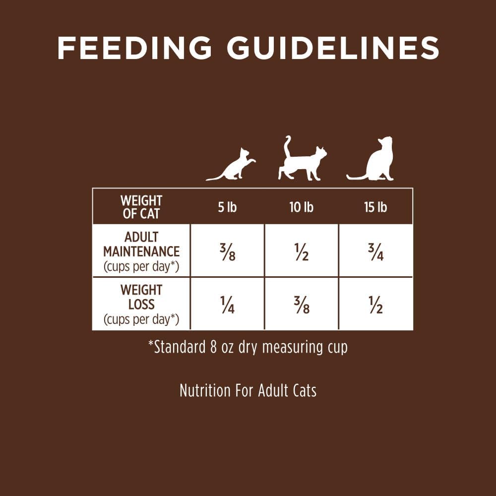 Instinct Ultimate Protein Grain Free Cage Free Chicken Recipe Natural Dry Cat Food, 10 lb. Bag