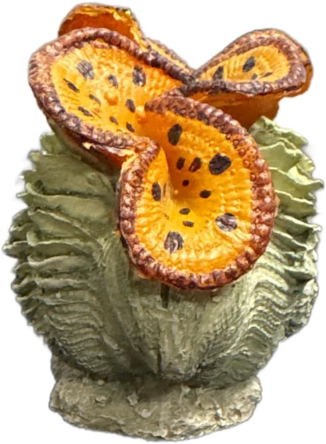 Resin Aquarium Ornament Decor for Fresh or Saltwater Aquariums - Clam (4.75" x 2.5" x 3.25") (Tiger Print)