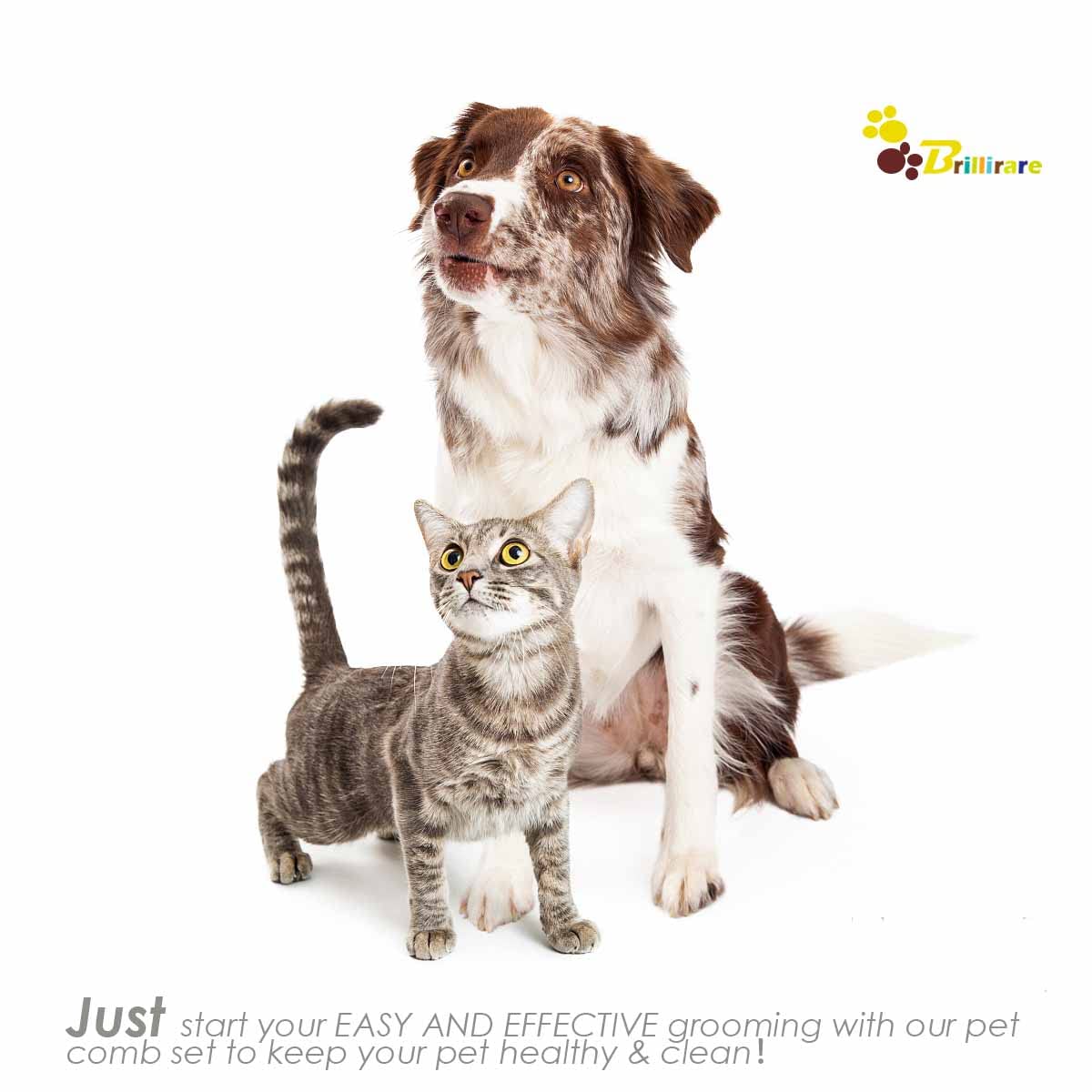 2 Pack Dog Grooming Brush, Premium Soft Silicone Pet Bath Brushes with Adjustable Handle, Shampoo Soothing Comb for Wet Dry Long Short Haired Dogs & Cats Massaging, Deshedding