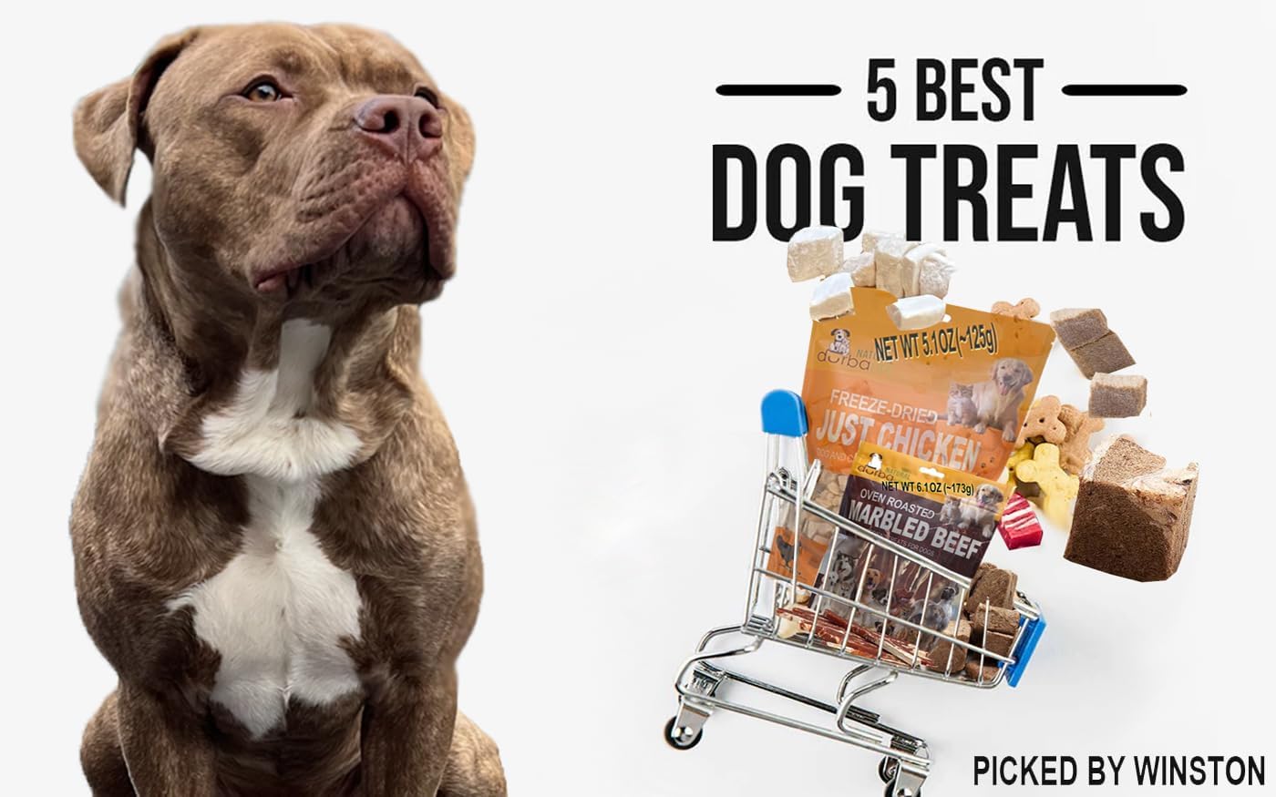 Chicken Chips Dehydrated Single Ingredient Treats for Dogs | Easy Chew | 1" Treat Size Ideal for Dog Training, Especially Puppies (4.0 oz (114g))