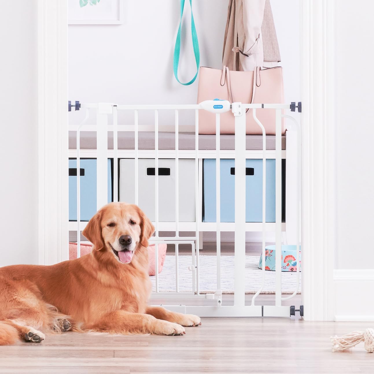 Carlson Pet Products Metal Gate