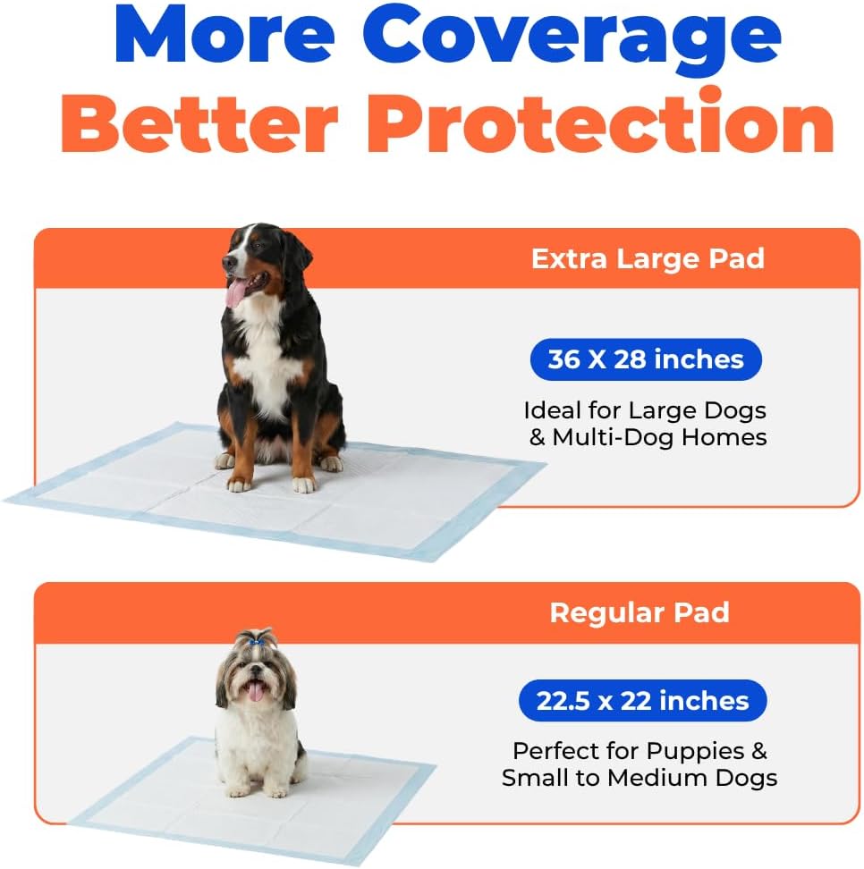 Best Pet Supplies Puppy Pads (22.5 x 22 Inches) - Disposable, Dog Training Potty, Super Absorbent Baby Blue Puppy Pee Pads for Dogs (300 Count)