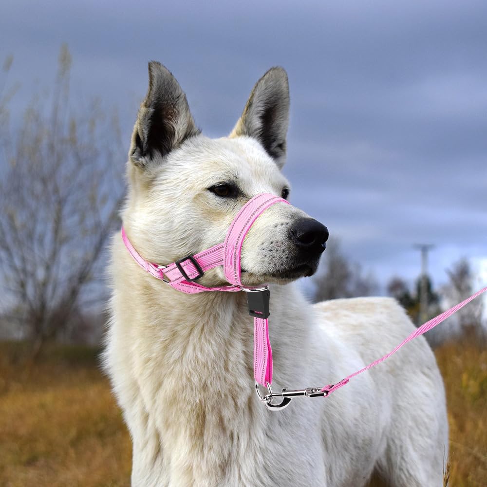 No-Pull Dog Headcollar - Reflective Halter Collar for Dogs, Padded Head Collar to Stop Heavy Pulling, Anti-Pull Muzzle Leash (Pink, Medium)