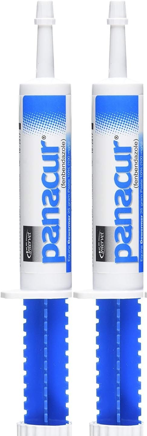 PANACUR Dewormer Horse Paste 10%, 100mg (2-Pack)