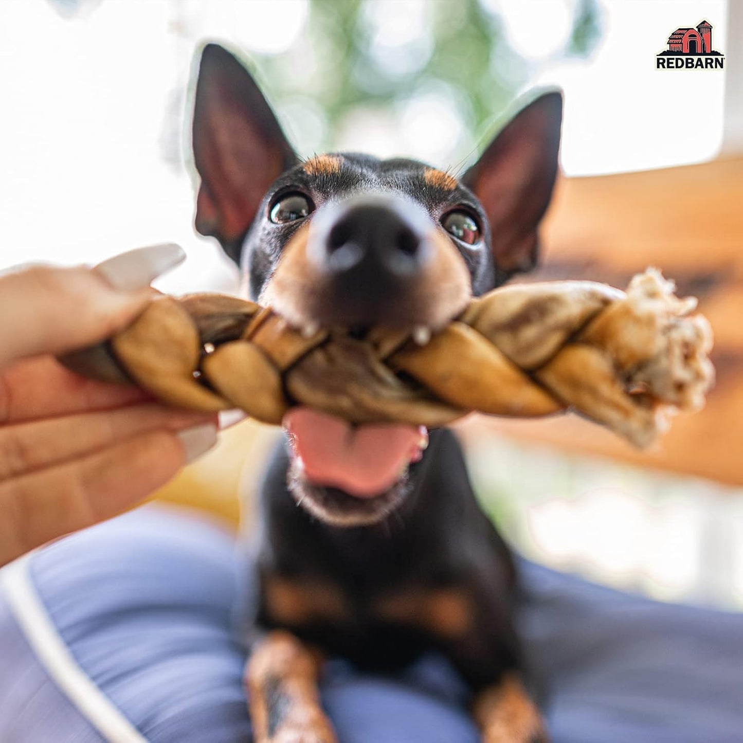 Redbarn Pet Products Collagen Braid - Small, Pack of 25