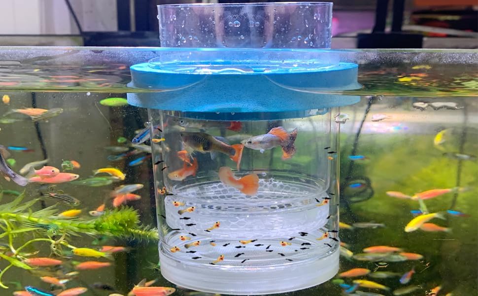 middlefloatingbreederbox Breeder Box for Fish Tank Isolation Aquarium Separator Hatchery Incubator for Guppy Baby Betta Saltwater Clownfish Coral Aggressive or Injured Fish (Middle Two-Piece Set)