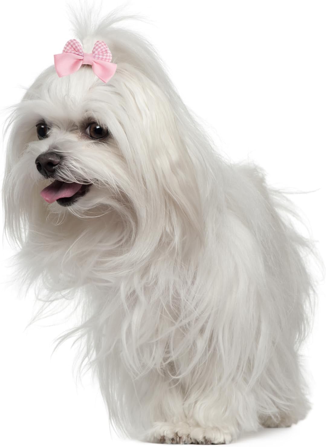 20Pcs Light Pink Small Dog Hair Bows Cute Puppy Dog Bowknot Hair Bow Bulk with Rubber Bands Elastic Lace Rhinestone Pearls Hair Ties Mix Style Handmade Flower Bow Dog Cat (Light Pink, Cute pattern)