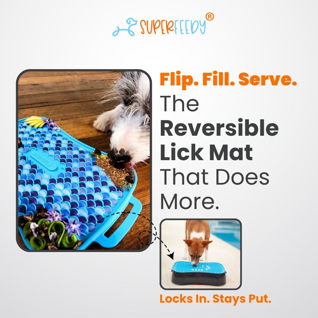 4-in-1 Slow Feeder Dog Bowl with Lick Mat – BPA-Free, Food Grade Silicone, Large Capacity for Large Dogs