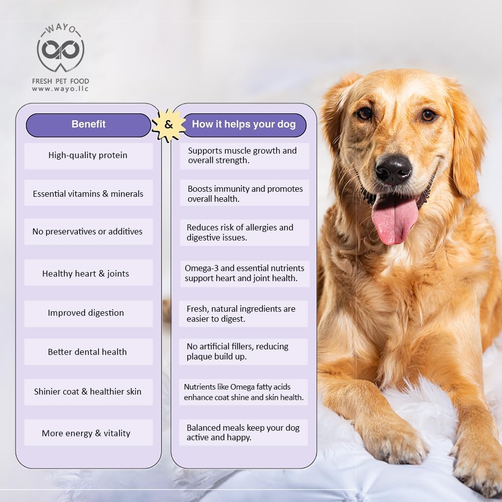 WaYo Fresh Dog Food Fresh Human Grade Meals for Dogs | Grass Fed Premium Meat | All Life Stages | High Protein, Ready to Serve Dog Food| No Fillers or Artificial Additives (Turkey 9 Pack 12 Oz)