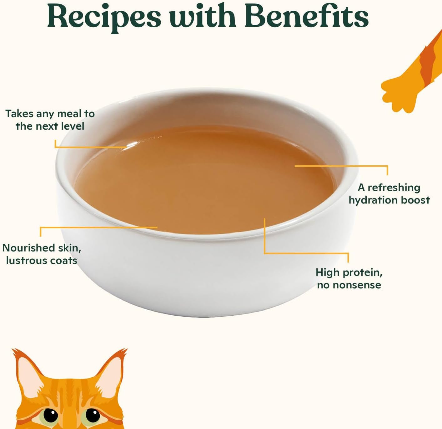 Made by Nacho Bone Broth Cat Food Topper for Hydration and Picky Eaters - Add Protein and Flavor to Your Dry Cat Food – Supports Optimal Nutrition, Digestion, Skin & Coat, 11 oz. Chicken (Pack of 4)