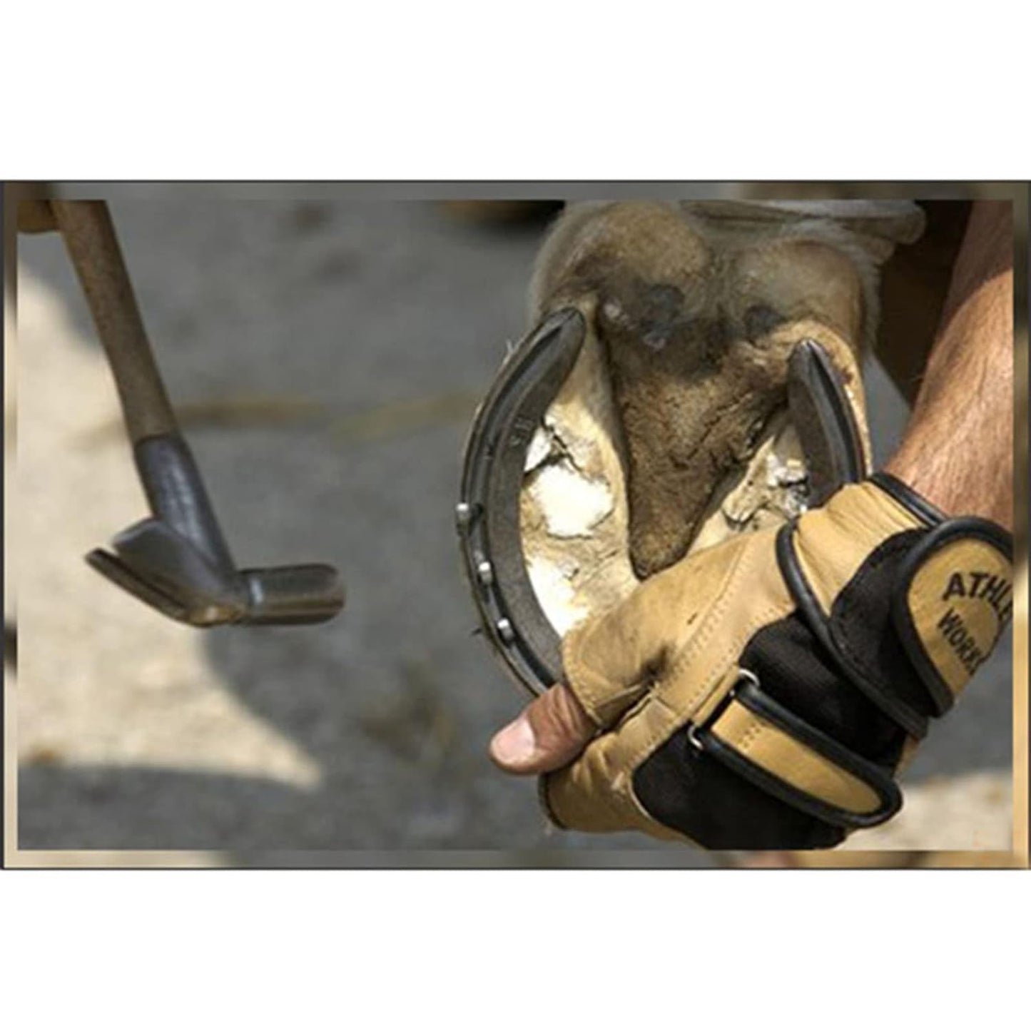 E-outstanding 50Pcs Steel 1.2 Inch E3 Horseshoe Nail, Low-Carbon Steel