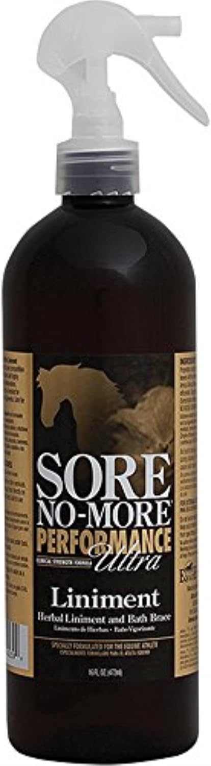 Arenus Sore No More Performance Ultra Liniment 16 oz
