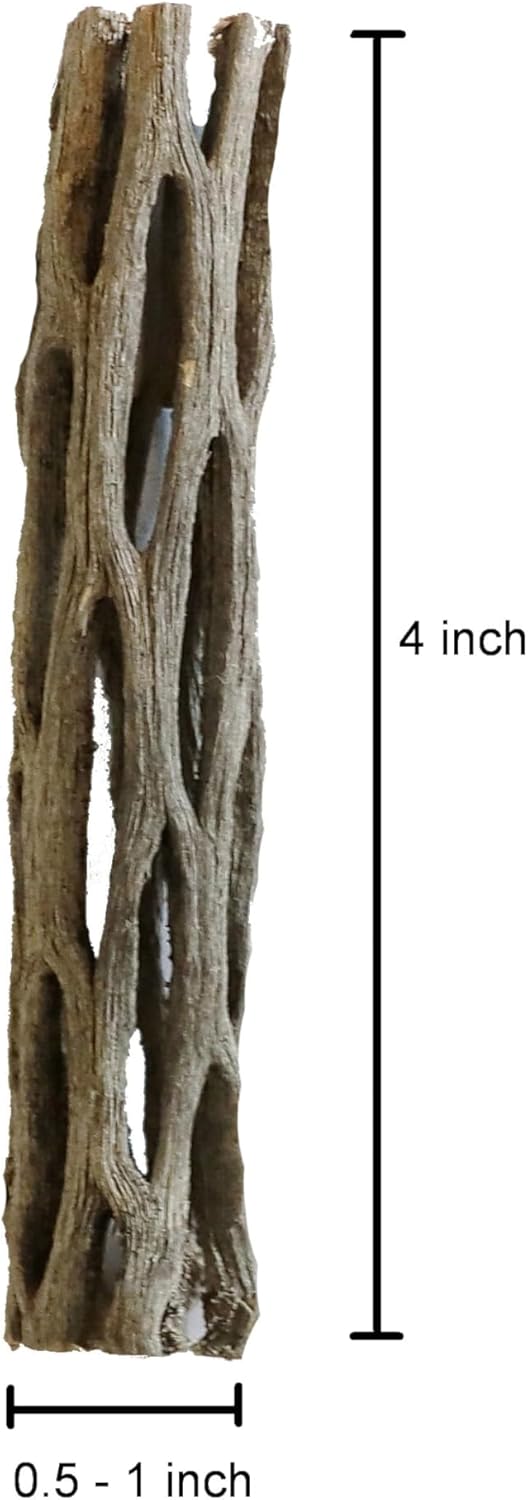 Natural Cholla Wood for Aquarium Decoration Shrimp and Fish Tank (4 Inch (3 Pack))