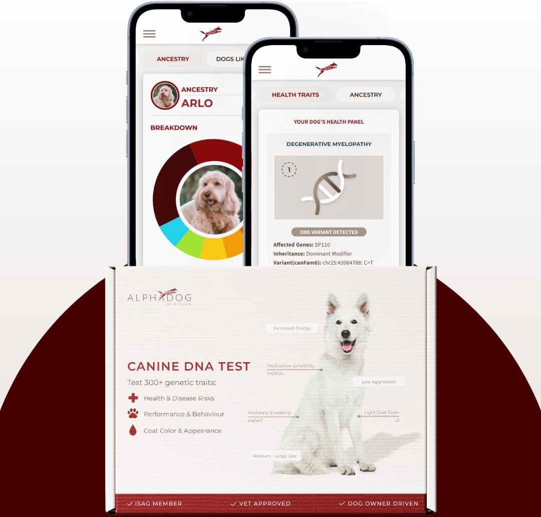 AlphaDog DNA Test – Health Risks & Conditions Screening & Dog Breed Composition Kit – Over 350+ Traits – Includes Marketplace Access