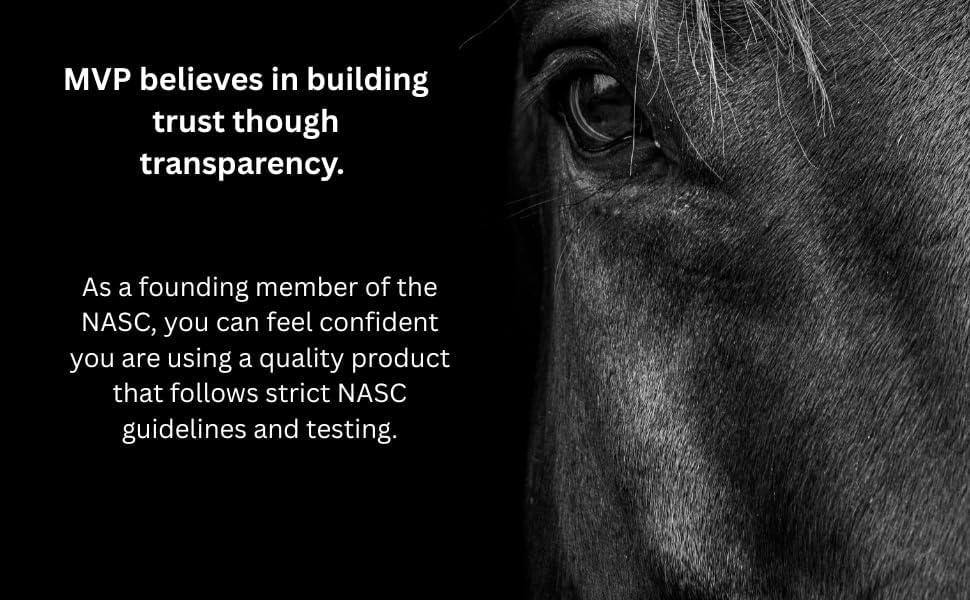 MVP Electro-Cell II Electrolyte Paste (2 dose tube) with probiotics for Horses