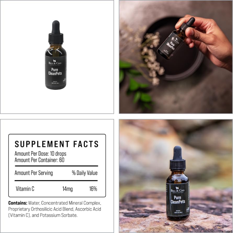 BILL & COO Complete Pet Wellness Bundle – Probiotic & Prebiotic Gut Support + NAD Immune Booster – Daily Digestive & Cellular Health Supplements for Dogs & Cats – Natural Powder Formula, 3-Pack