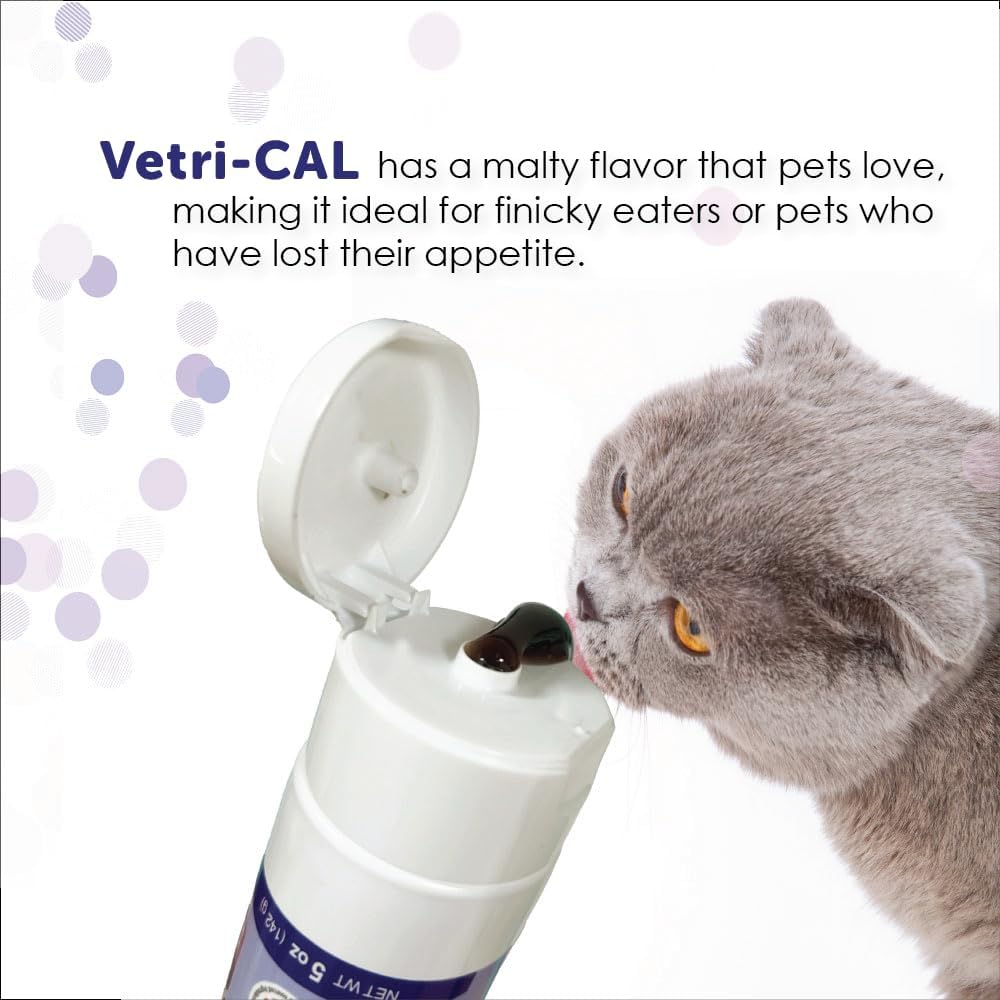 High Calorie Nutritional Gel for Dogs & Cats – Appetite Booster with Omega 3-6-9, Vitamins A-D-E-B – Recovery & Energy Support – Tasty Malt Flavor – 5 oz Tube