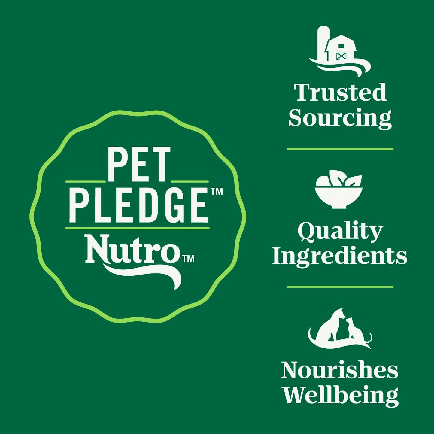 Nutro Wholesome Essentials Dry Cat Food, Enhanced Care Sensitive, Chicken, Rice & Peas, 5 lb. Bag