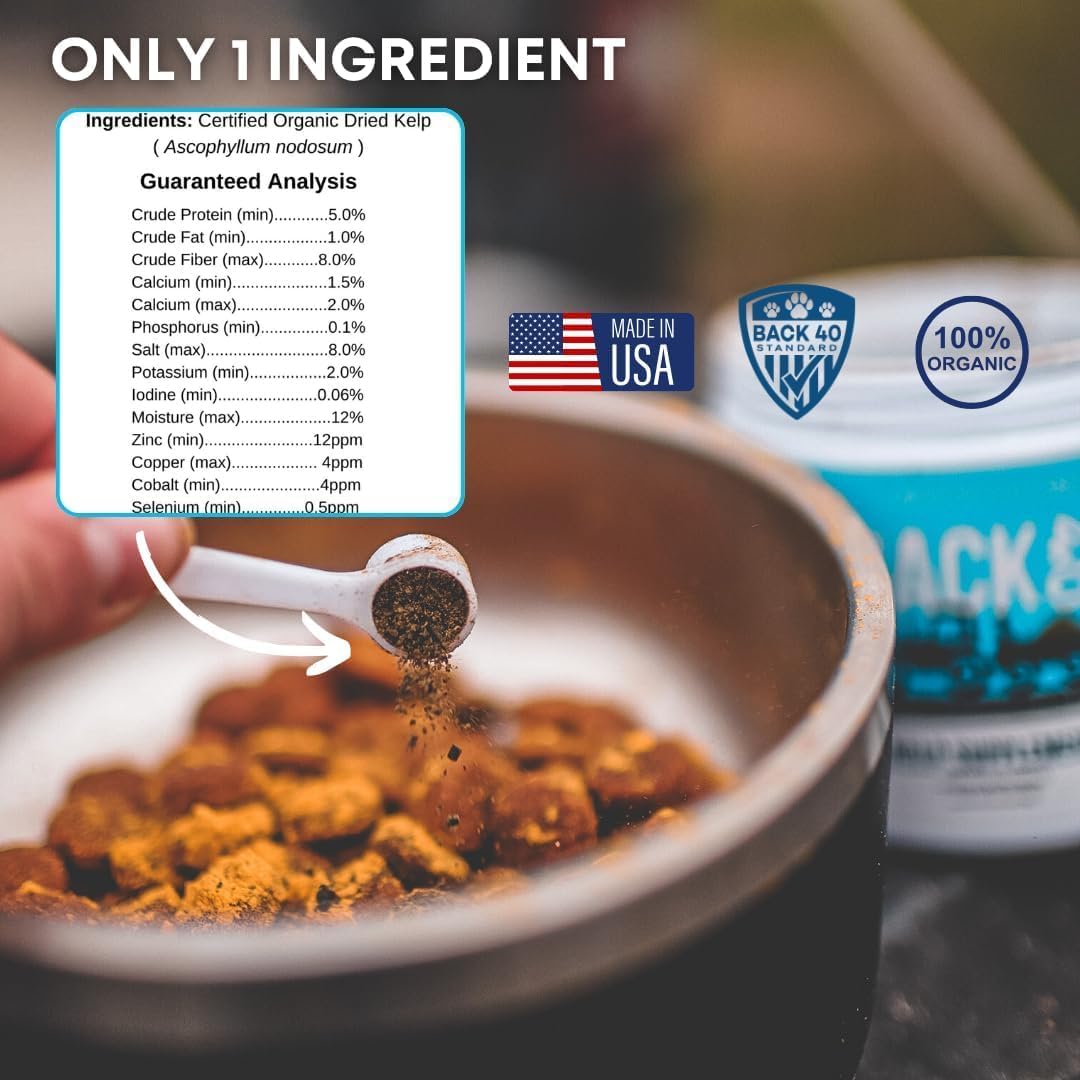 Back40Dog Ultimate Wellness Bundle – Wild Alaskan Fish Oil 16 fl oz, Organic Pumpkin Powder 8.1 oz, Grass-Fed Beef Bone Broth 6.4 oz & Organic Kelp 16 oz – Skin, Joint, Thyroid & Digestive Support