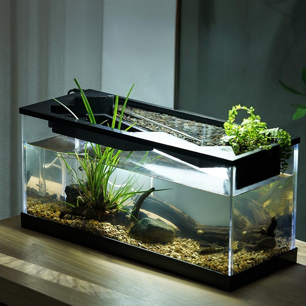 GarveeLife 3 gal Small Fish Tank, Betta Fish Tank kit with LED Light, Oxygen Generator, Fish Tank Starter Kits for Beta,Goldfish (3 gal with LED Light)