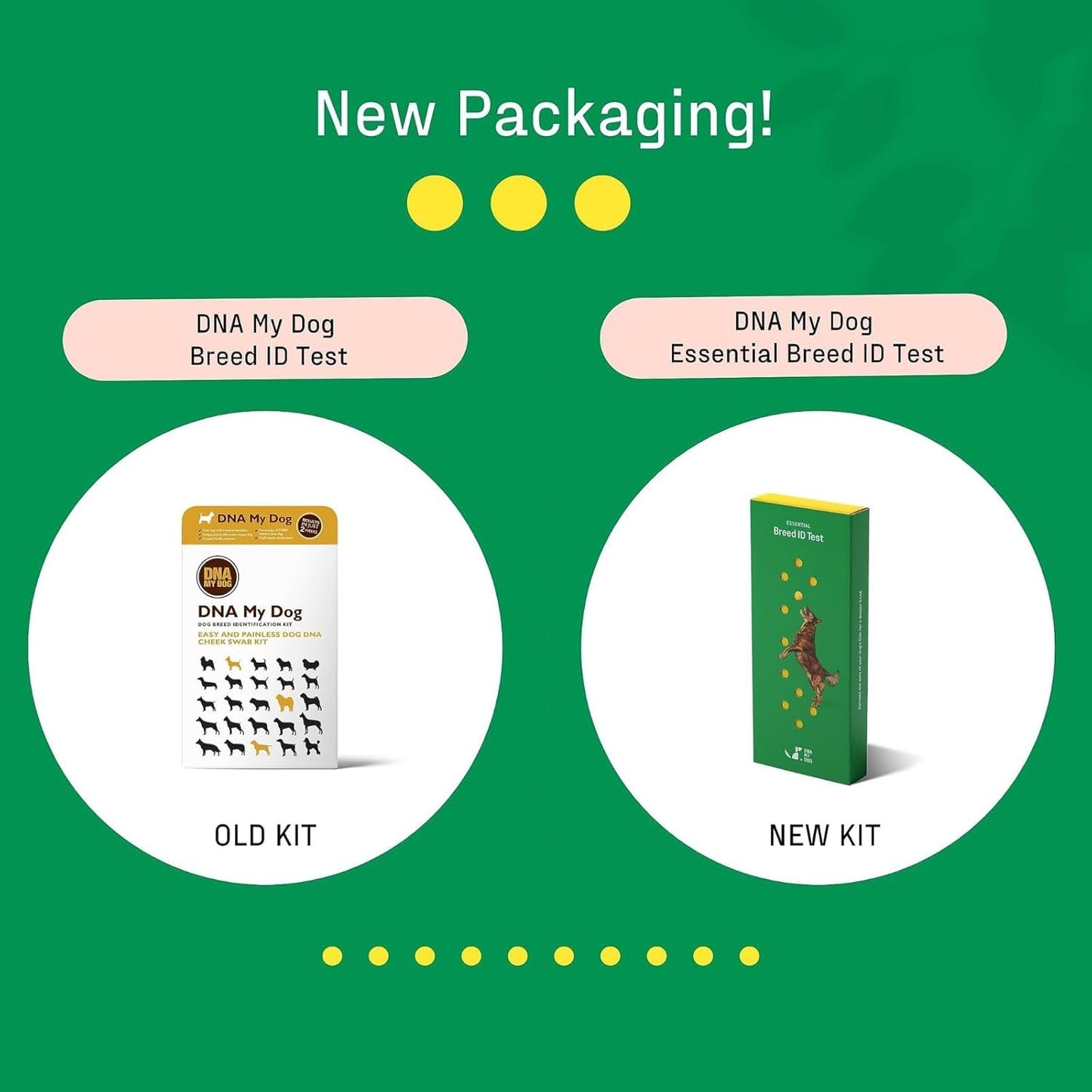 DNA MY DOG β Trusted & Affordable Breed Identification Test | 350+ Breeds Identified w/ 99%+ Accuracy | Complete Breed Analysis, Personality and Behavior Insights | Easy Cheek Swab, Results in 2 Weeks