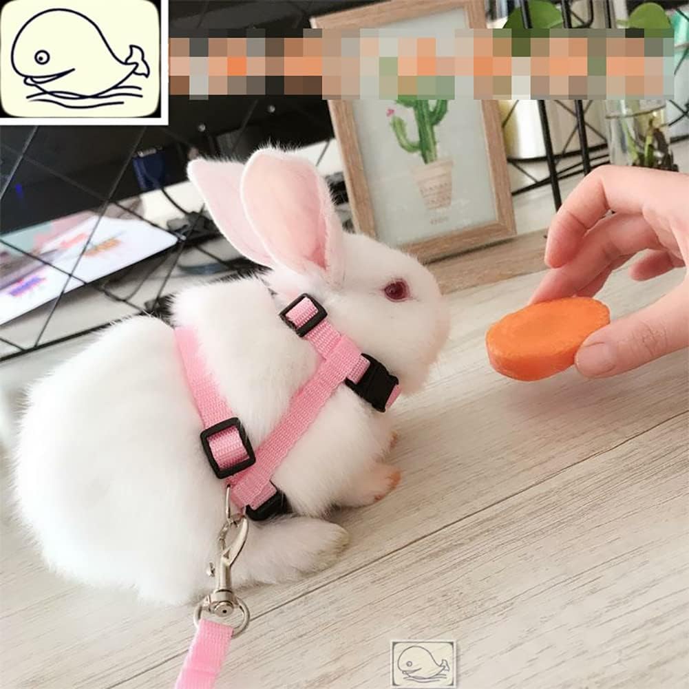 2 Pcs Adjustable Bunny Rabbit Harness with Leash Cat Puppy Walking Harness Leash Pet Harness Leash for Pigs Hamster Small Animals Pink and Light Blue