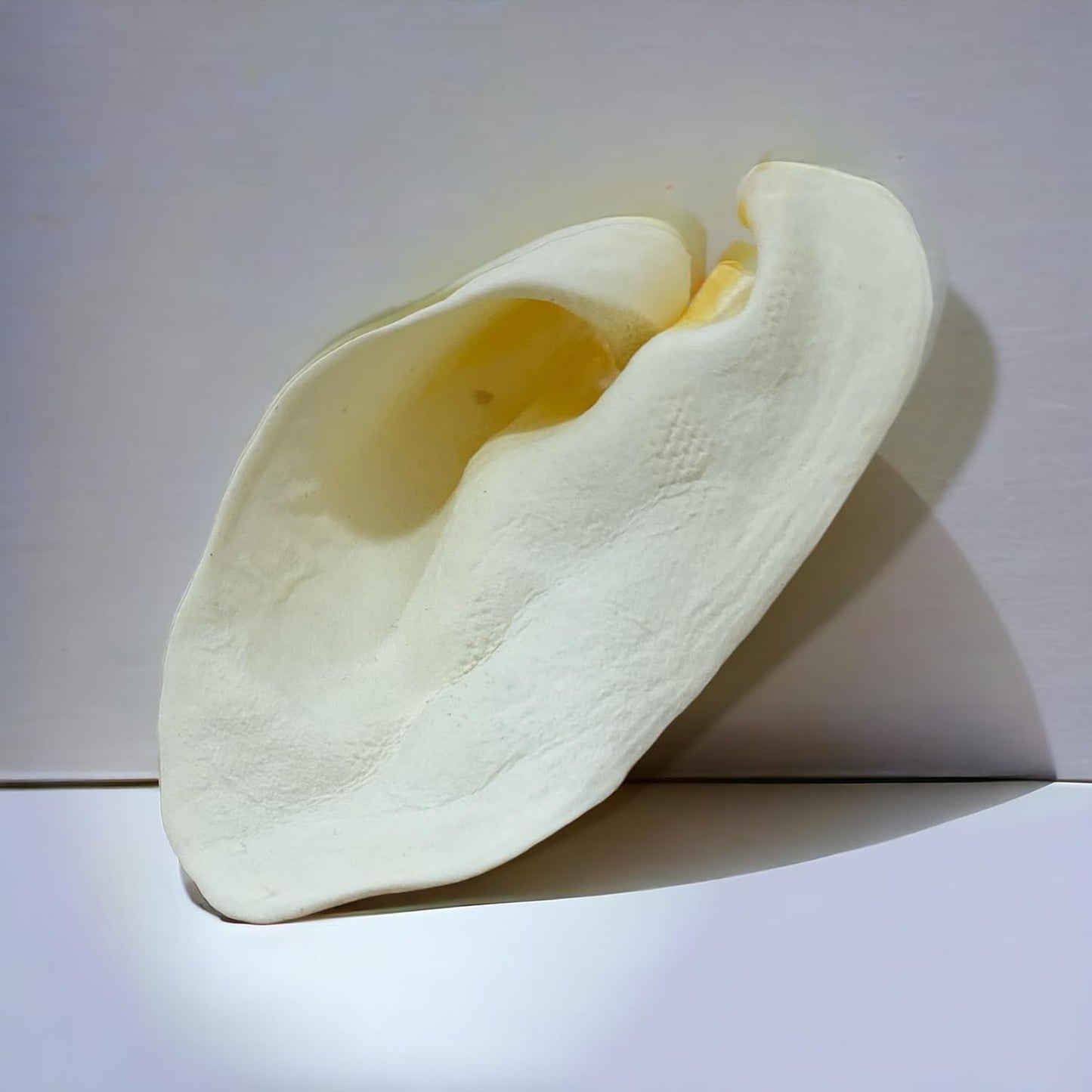 Brazilian Pet 100% Natural Real Cow Ears (50 Pack) Prime Dog Chews, Over 5 inches Free Range Grass Fed Cattle, No additives, Chemicals or Hormones