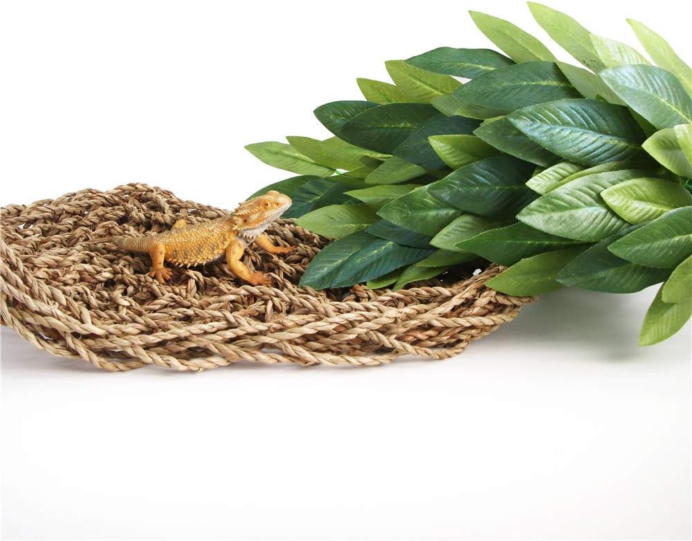 SLSON Reptile Plants Hanging Silk Terrarium Plant with Suction Cup for Bearded Dragons,Lizards,Geckos,Snake Pets and Hermit Crab Tank Habitat Decorations,Small Size,12 inches Green