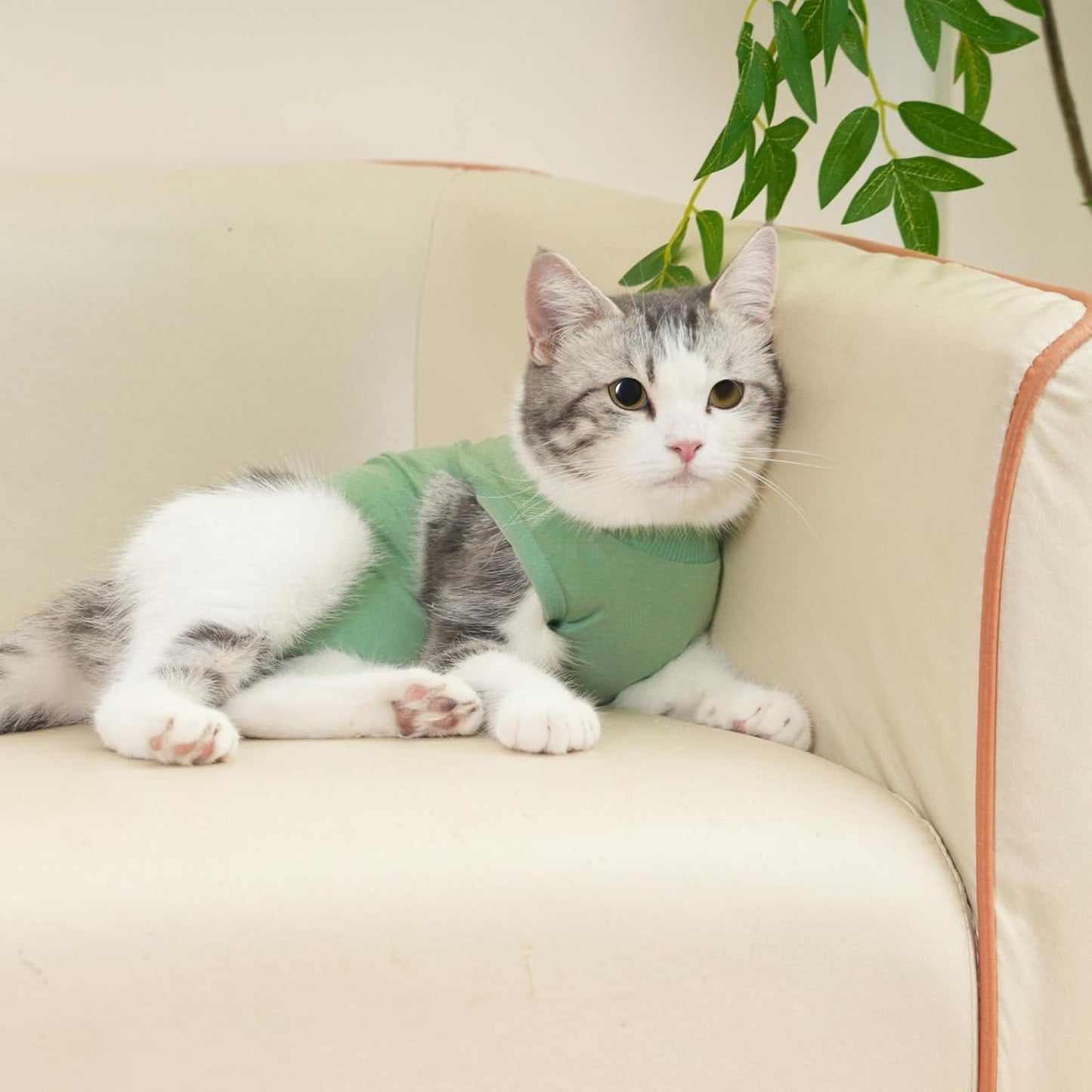 Cat Recovery Suit Cat Surgery Onesie for Female Male Cats After Surgery Spay Surgical Abdominal Wound Skin Diseases E-Collar Alternative Wear(Green, Medium)