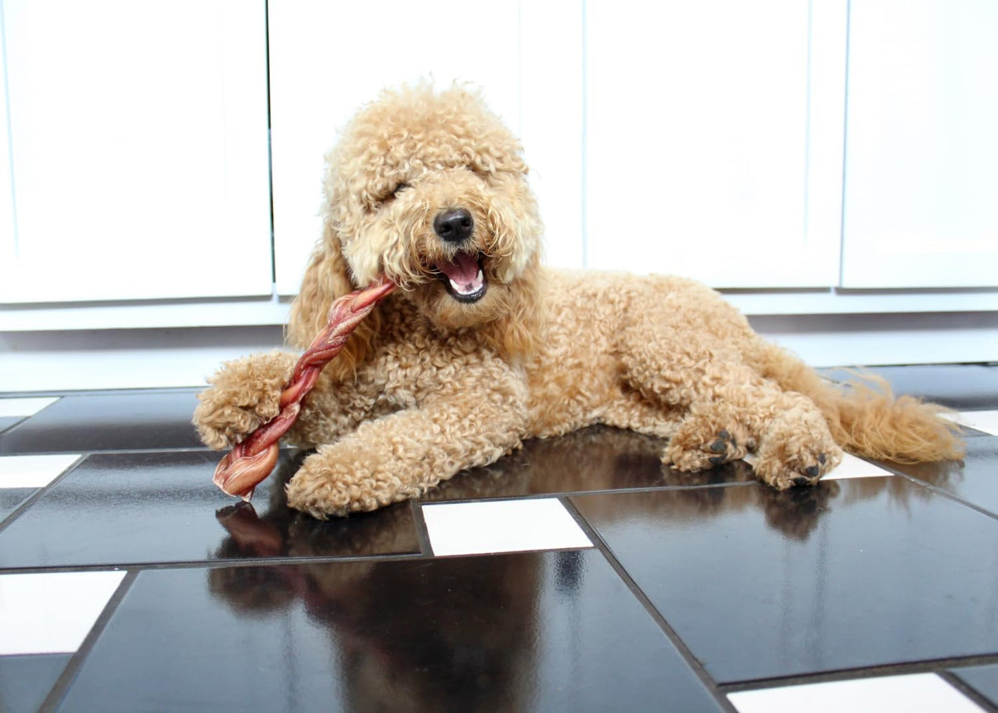 Redbarn Pet Products All Natural 8"-12" Braided Bully Sticks for Medium & Large Dogs - Healthy Long Lasting Beef Chews Variety Party Pack - Single Ingredient Low Odor Rawhide Free - 1 lb Bag