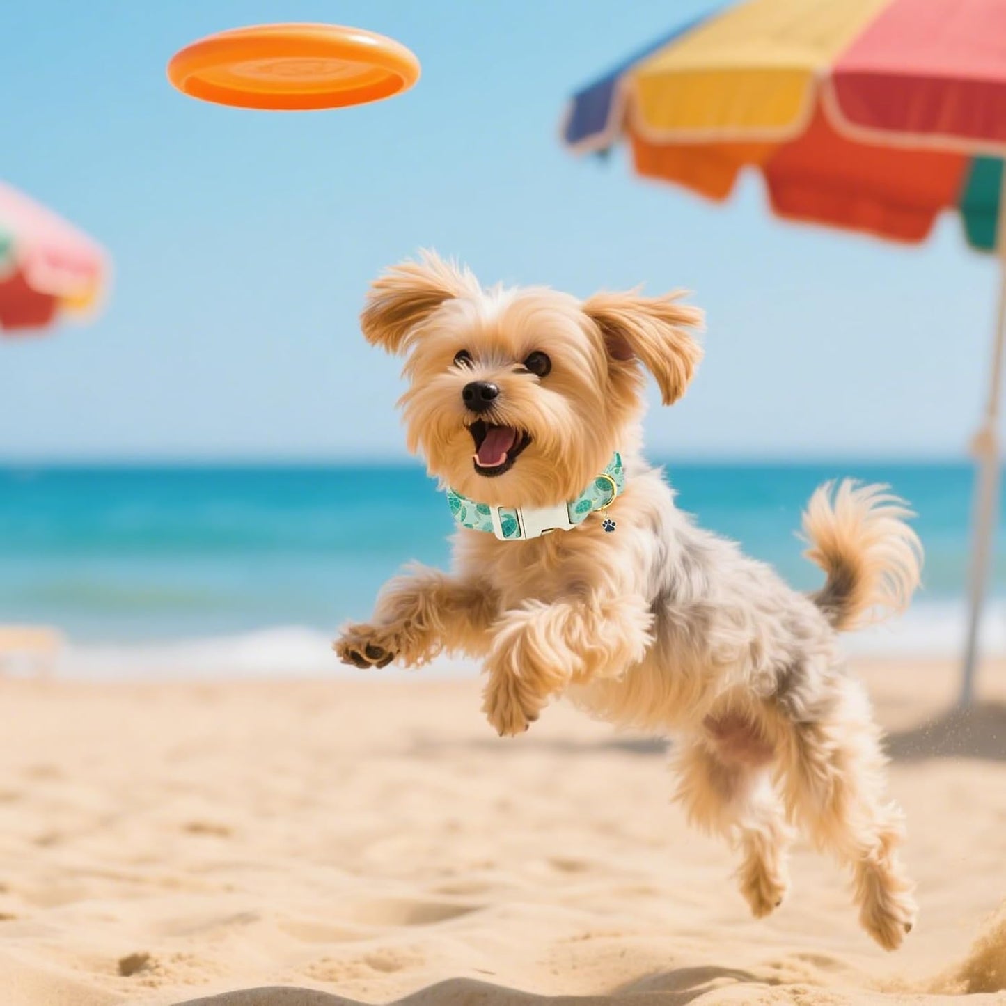 GLOBLELAND Sea Turtles Patterned Dog Collar for Daily Pets Sea Animals Puppy Collars Ocean Adjustable Soft Pet Scarf with Quick Release Buckle for Small Dogs Walking Running