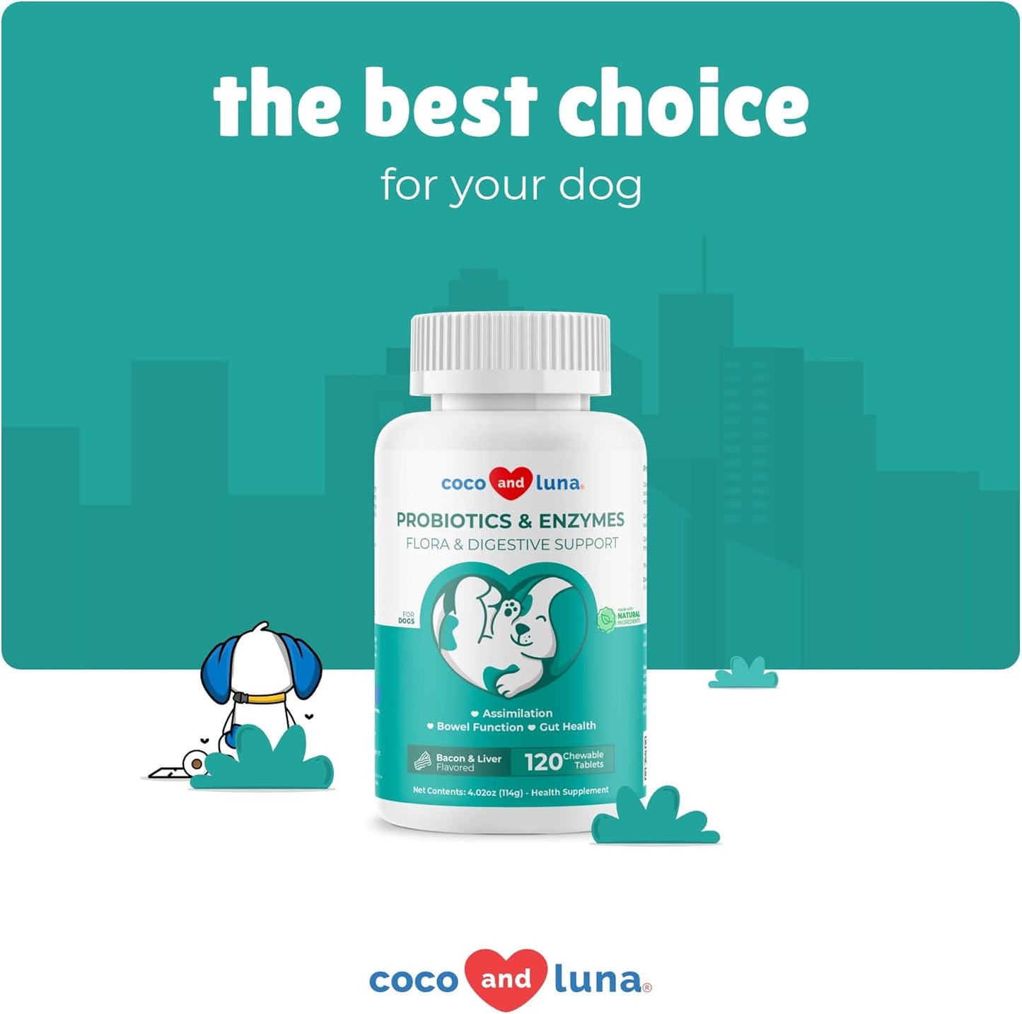 Probiotics for Dogs - 120 Chewable Tablets - Diarrhea & Gas Support - with Honey Pumpkin and Prebiotics for Dog Allergies, Bad Breath & Constipation Support