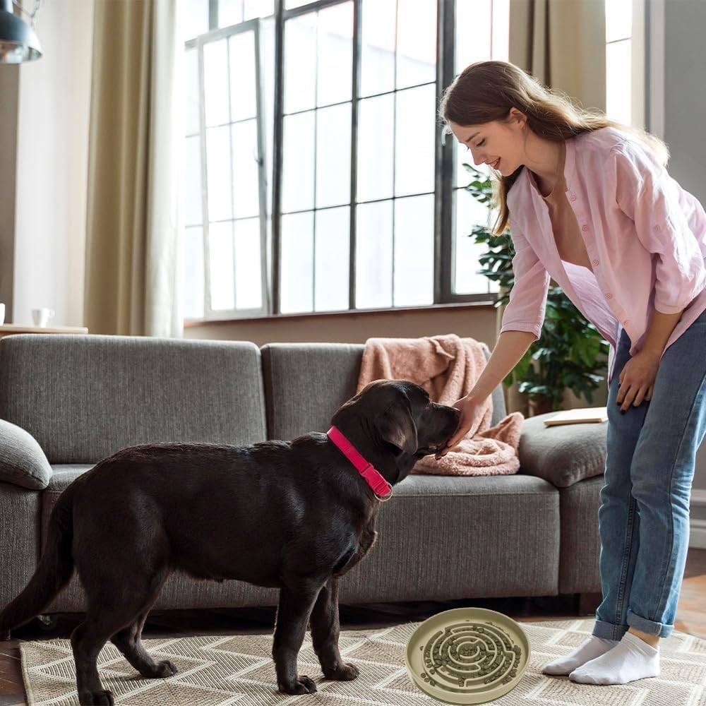 Slow Feeder Dog Bowl, Cat Slow Feeders Slow Eating, Modern Lick Mat Design, Reduces Gulping, Dishwasher Safe, Suit for All Cat & Dog Breeds (Beige)