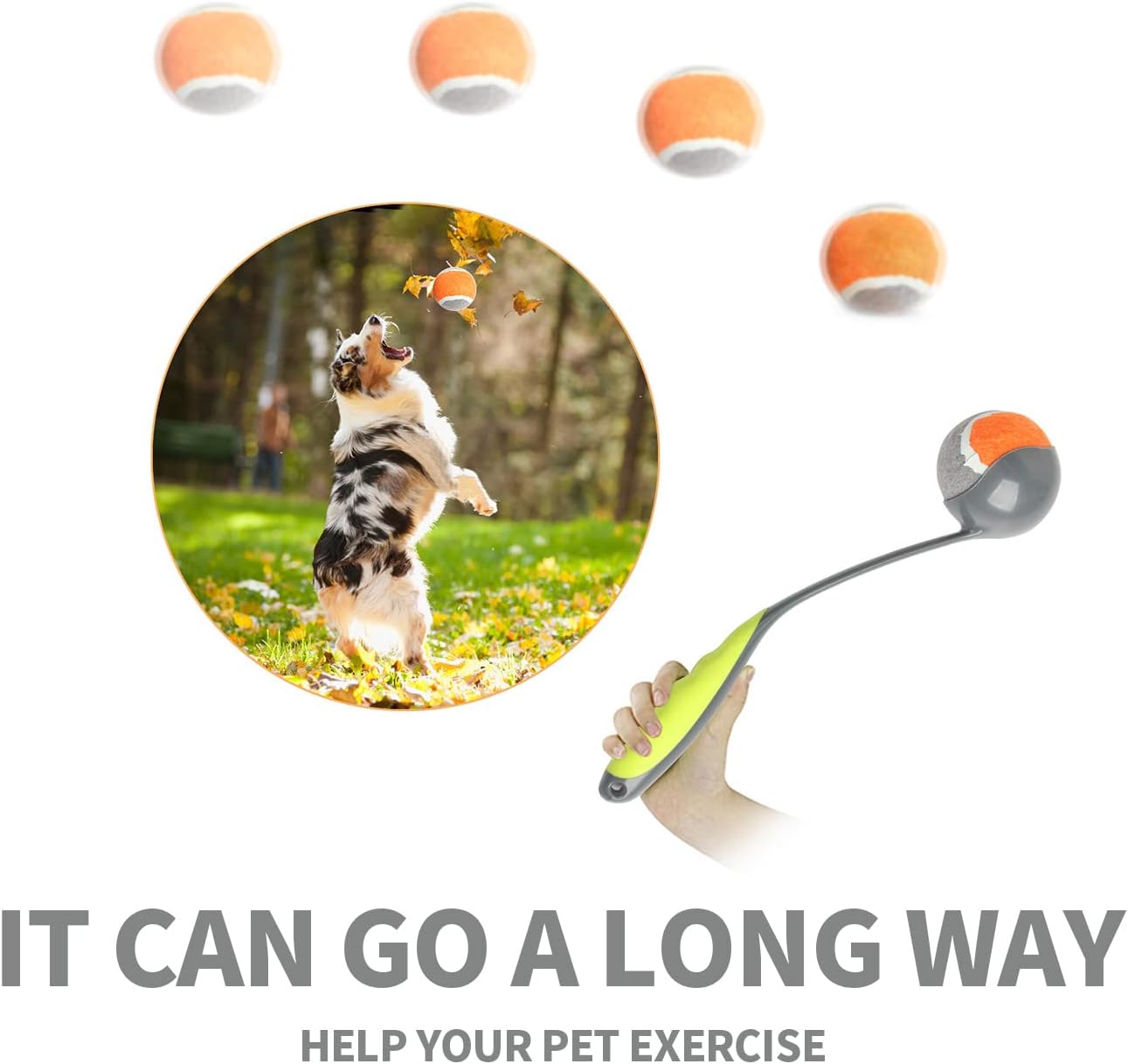 PAWISE Dog Ball Launcher for Small & Medium Dogs, 12.2" Dogs Fetch Toy with 2.3" Tennis Balll, Portable Dog Tennis Ball Thrower for Indoor & Outdoor Play, Lightweight, Durable & Hands-Free Pick-Up