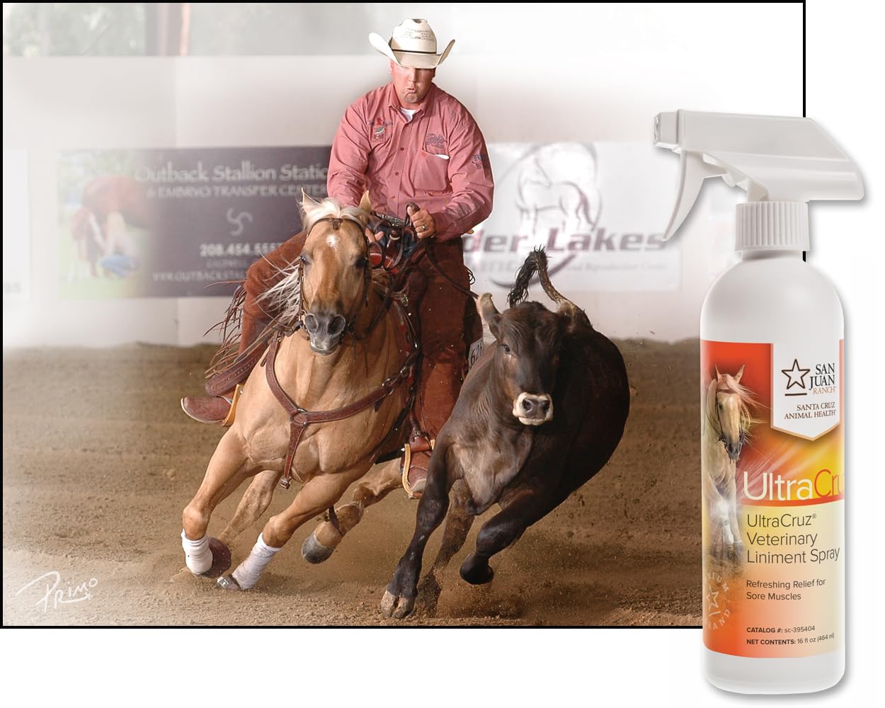 UltraCruz Veterinary Liniment Spray for Horses, 16 oz,sc-395404