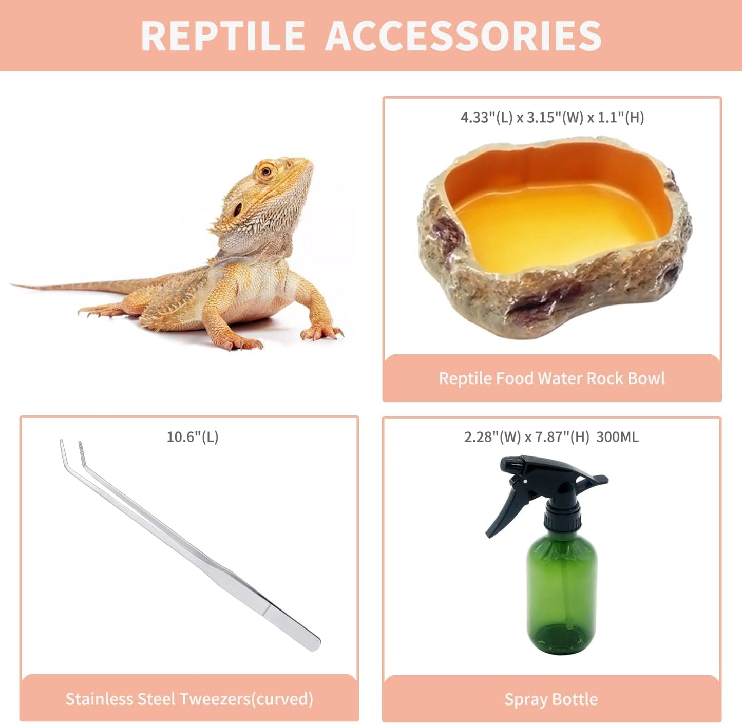 Reptile Terrarium,10 Gallon Reptile Tank 20" x 10"x 11",for Insect,Fish,Tarantula,Hermit Crab,Jumping Spider,Iguana,Tortoise,Leopard Gecko,Bearded Dragon