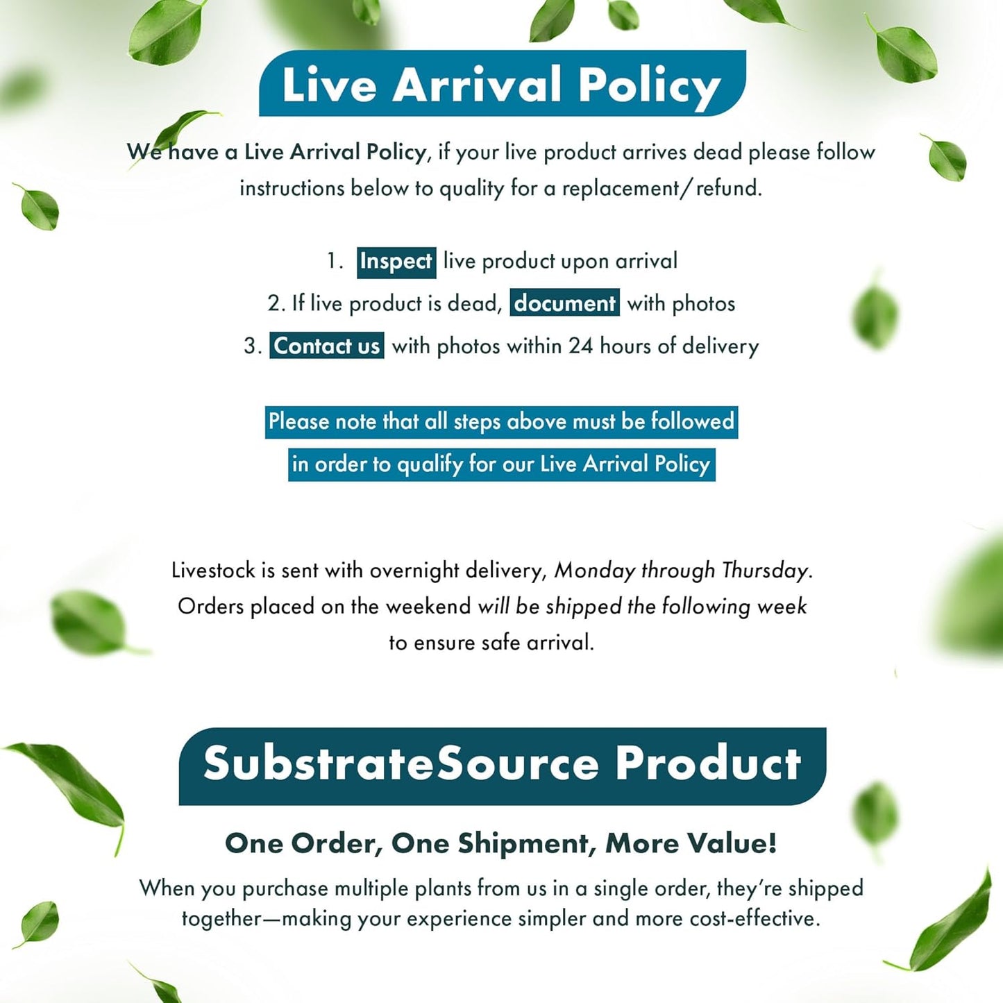 SubstrateSource Live Aquarium Red Stem Plants - Freshwater Aquatic Plant for Fish Tanks, Aquascaping - (Alternanthera Reineckii Rosanervig, 1 Bunch)