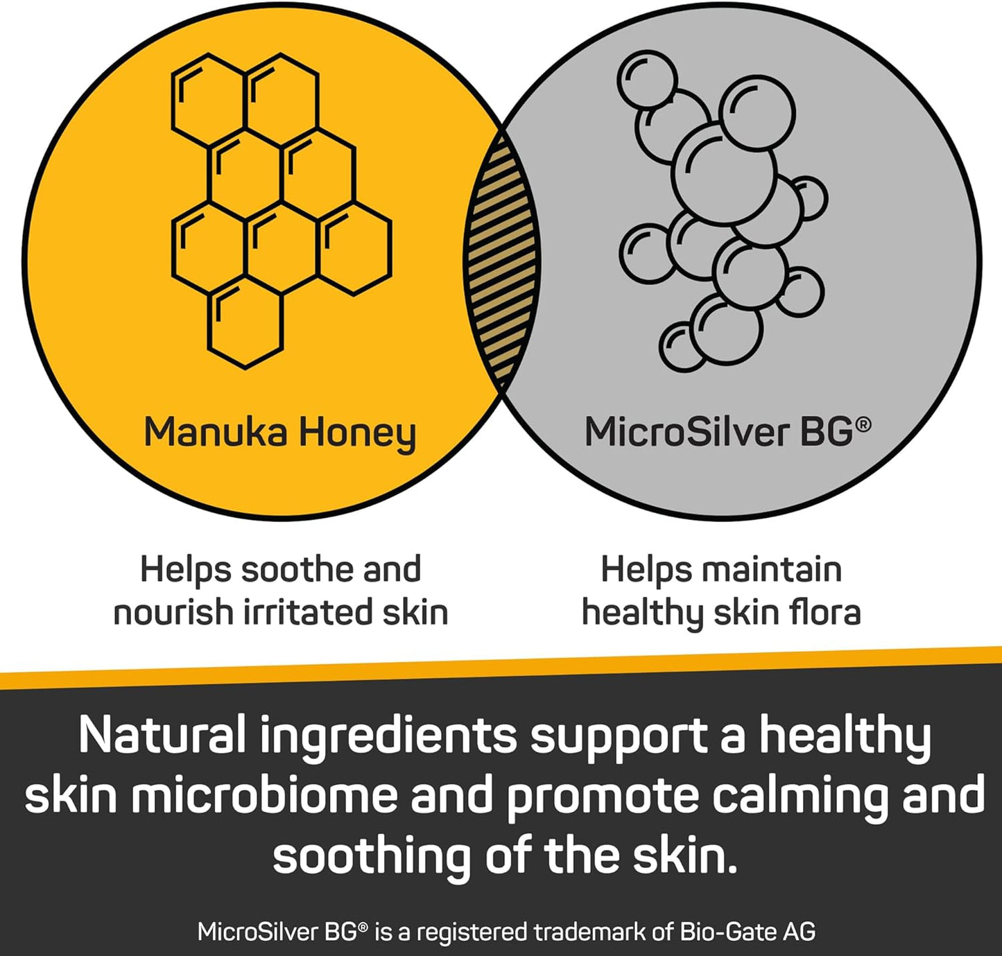 Silver Honey Nourish & Soothe Leave-in Conditioner 16 fl oz, Dog & Cat Skin & Coat Care, Natural Manuka Honey + MicroSilver BG, Pump Bottle