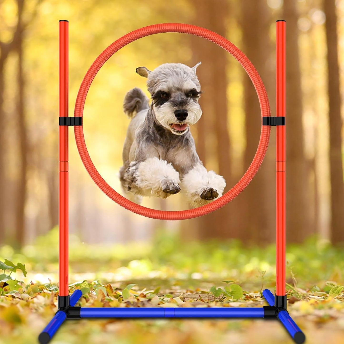 4-Set Dog Agility Training Equipment Course Backyard Set for Dogs, Dog Indoor Outdoor Backyard Agility Jumps Exercise Equipment