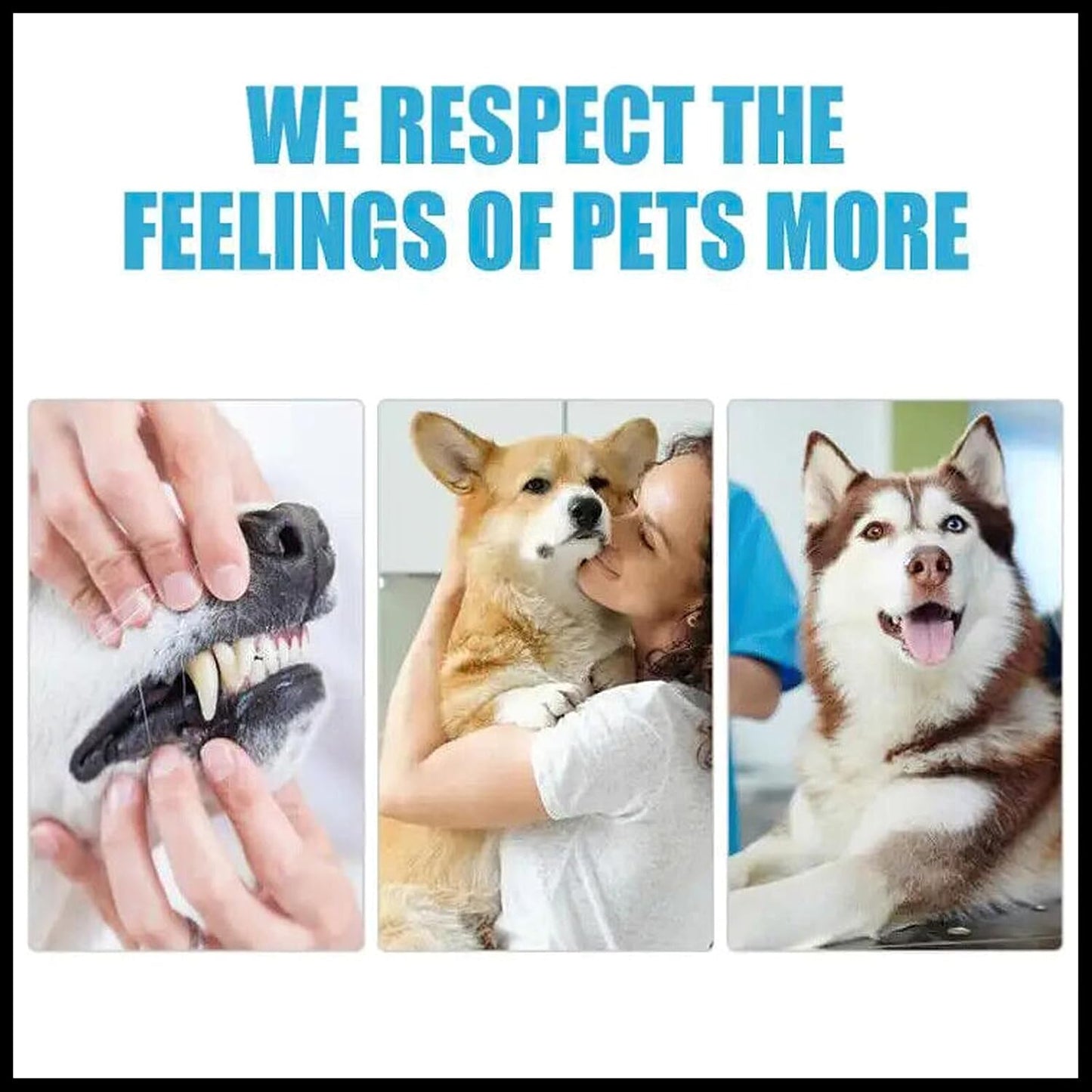 MIELIKKI Pets Dental Toothpaste, Toothpaste for Cats & Dogs, Cleans Teeth, Fights Bad Breath, Promotes Strong Teeth, 100g, Orange Flavor