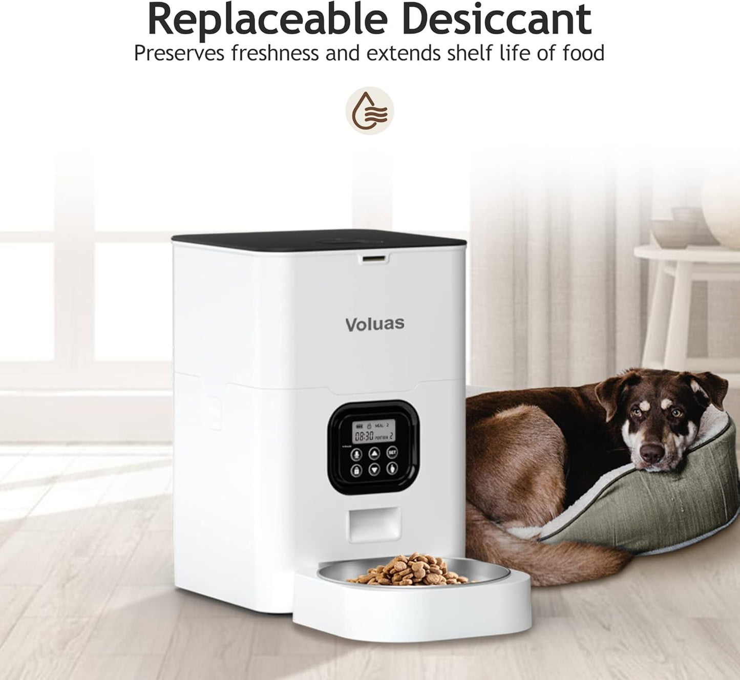 VOLUAS Automatic Cat Feeders - Timed Pet Feeder for Cats and Dogs with Dry Food Dispenser, Desiccant Bag, Programmable Portion Control, 4 Daily Meals, 10s Voice Recorder