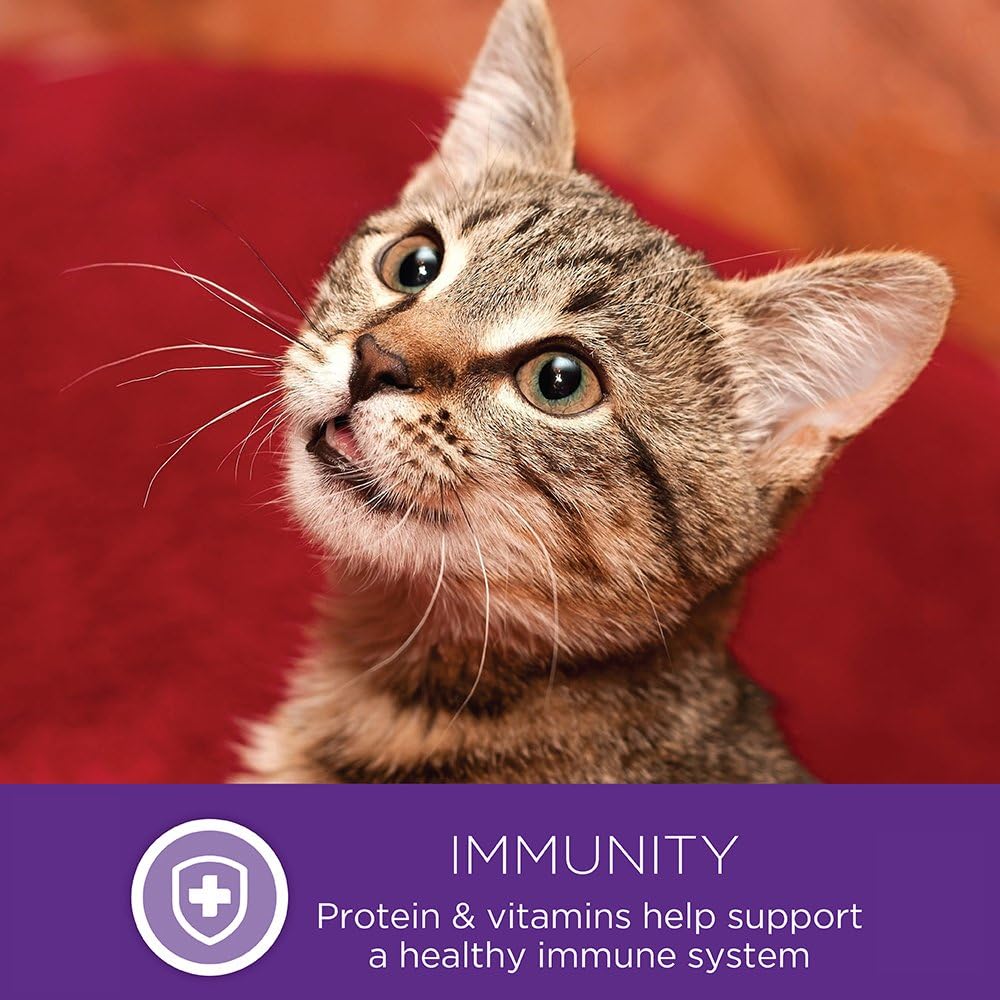 Wellness Healthly Indulgence Morsels Adult Wet Cat Food, Natural, Protein-Rich, Grain Free, 3 Ounce Pouch, 24 Pack, (Turkey & Duck)